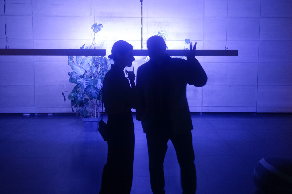 2022-abstrakttropik-installation-01