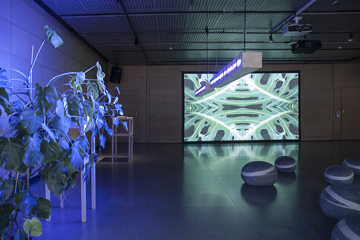 2022-abstrakttropik-installation-13 2022-abstrakttropik-installation-13