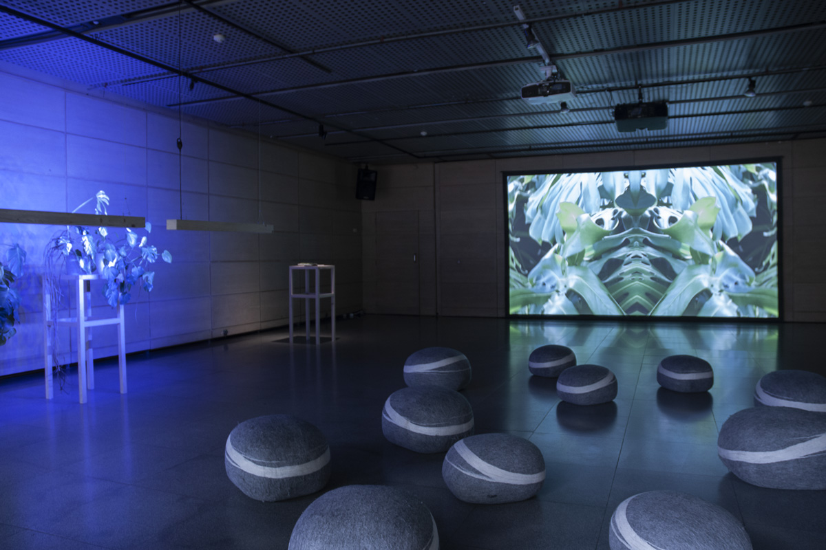 2022-abstrakttropik-installation-14
