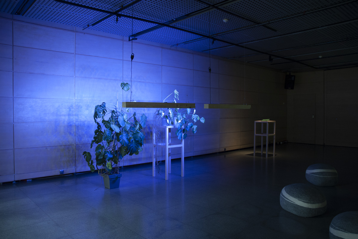 2022-abstrakttropik-installation-17