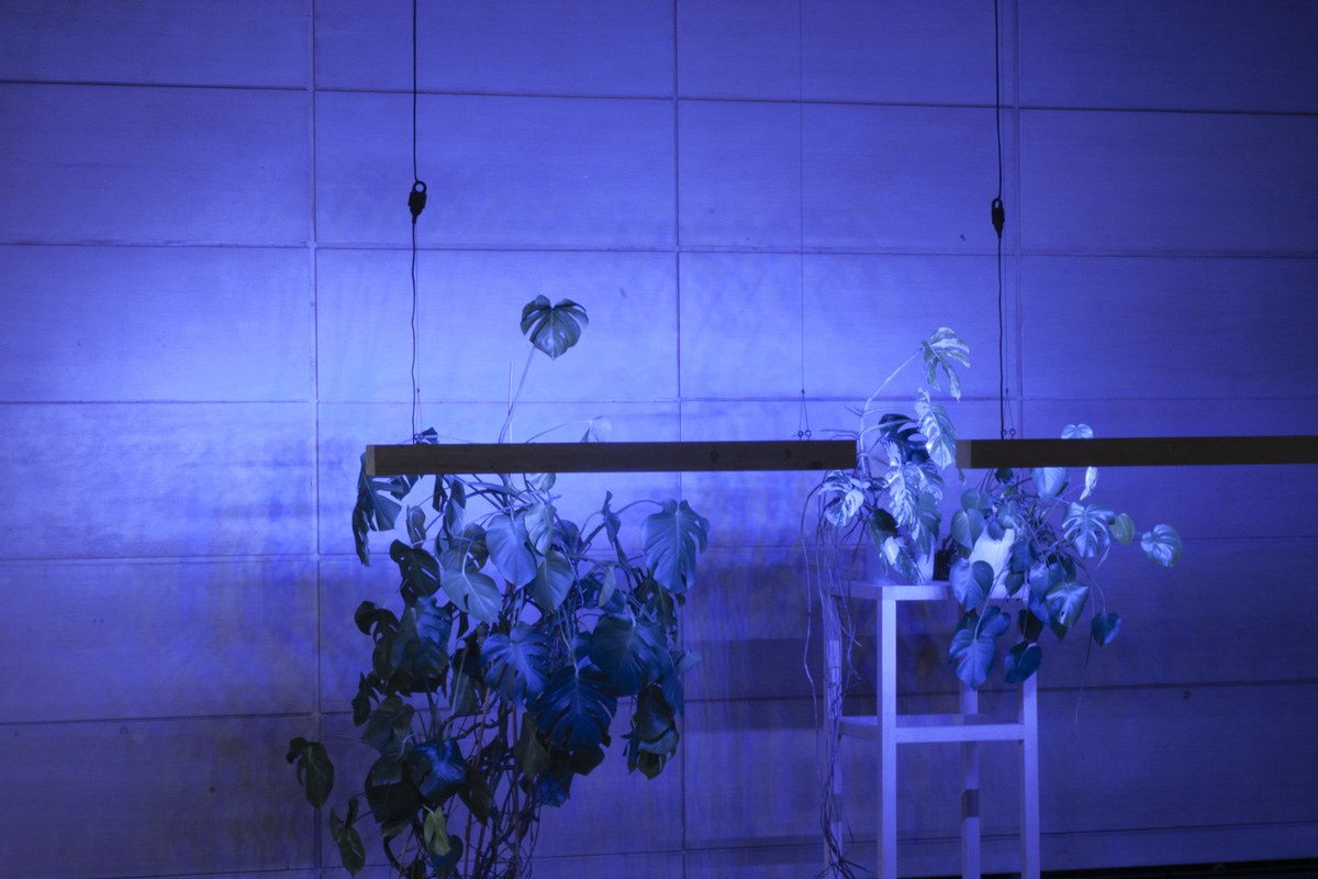 2022-abstrakttropik-installation-18