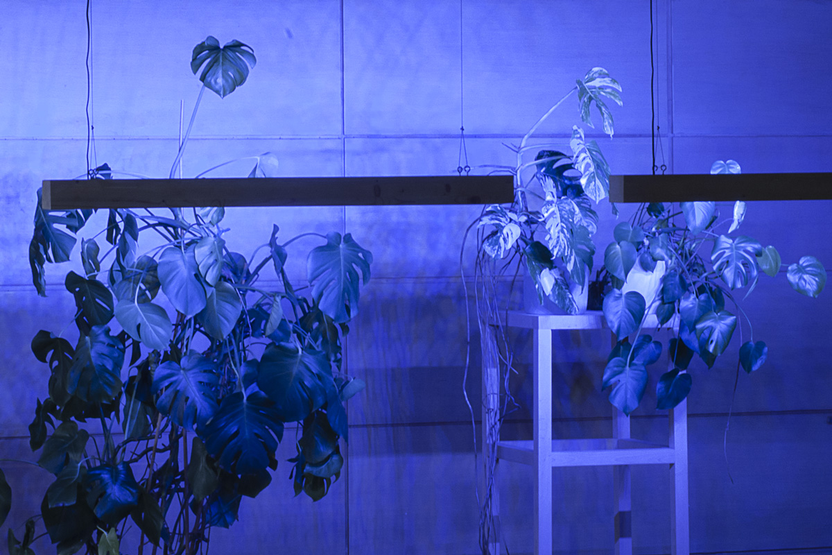2022-abstrakttropik-installation-19 2022-abstrakttropik-installation-19