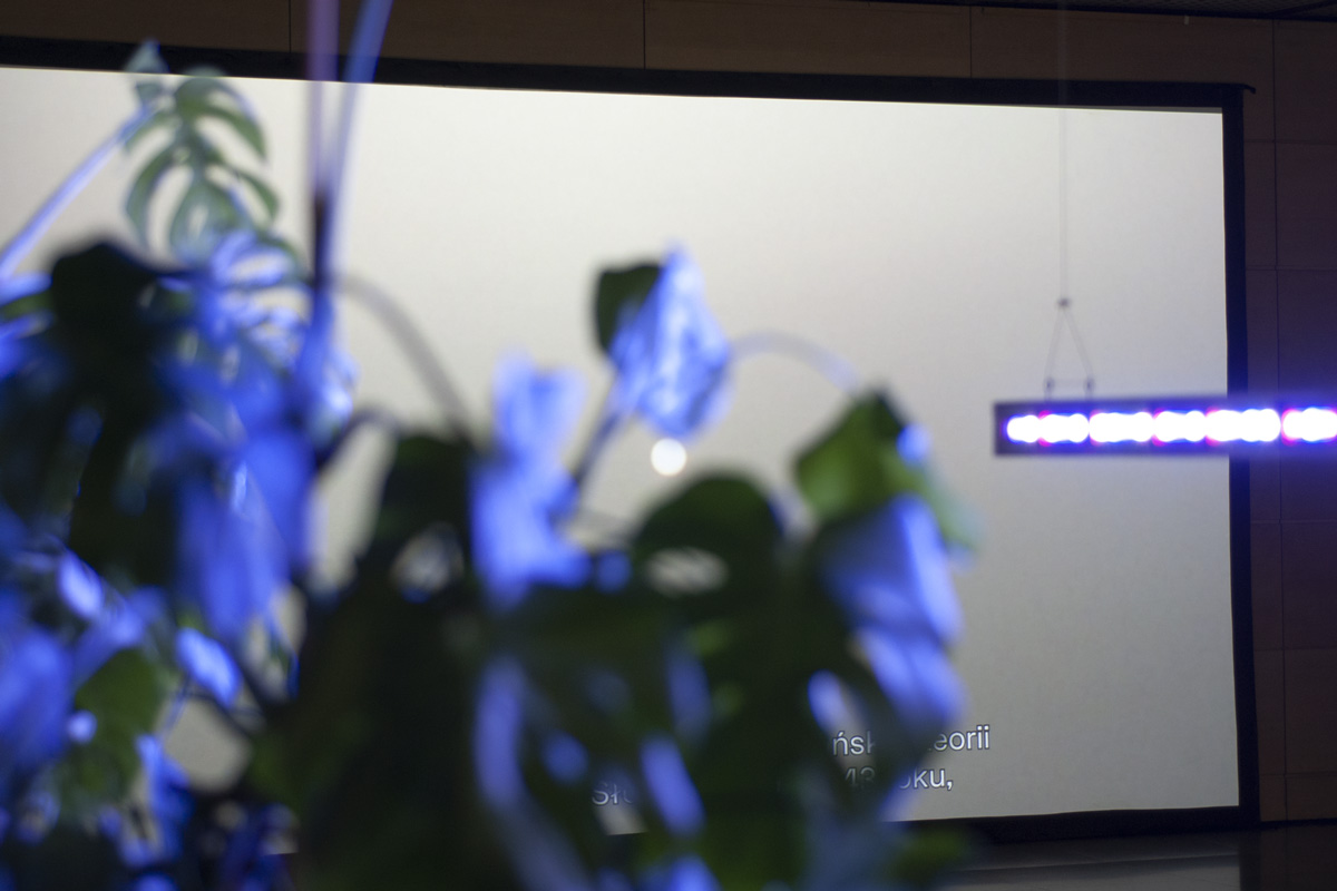 2022-abstrakttropik-installation-25 2022-abstrakttropik-installation-25