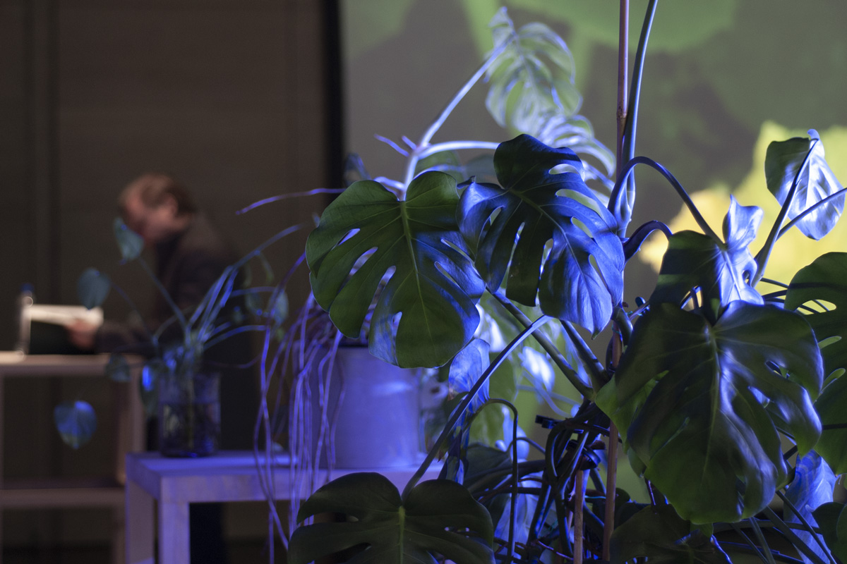 2022-abstrakttropik-installation-27
