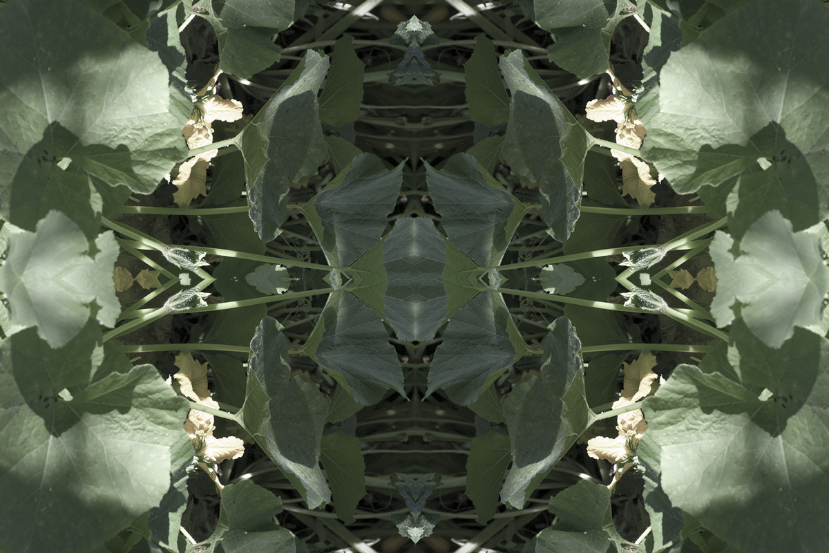 2022-abstrakttropik-photography-16