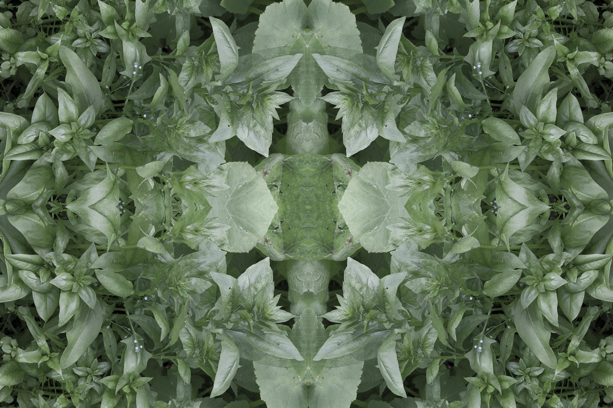 2022-abstrakttropik-photography-17
