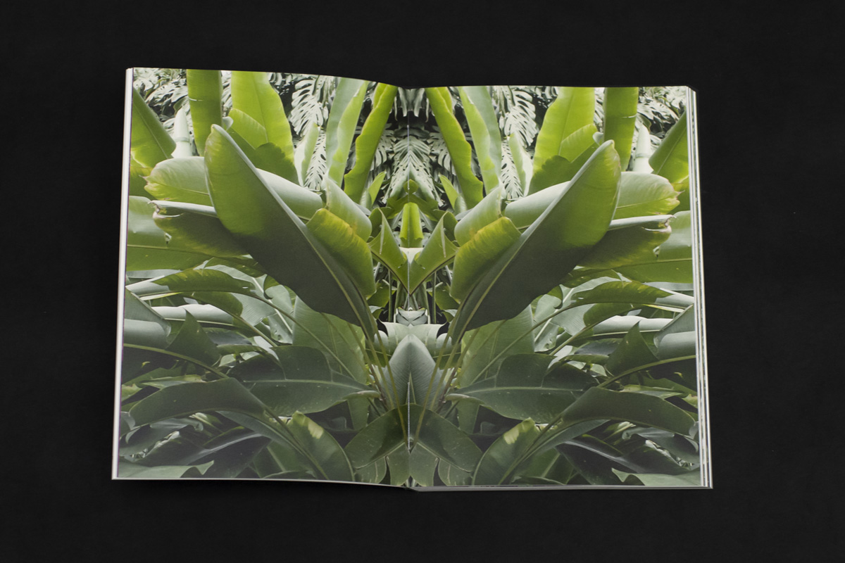 2022-abstrakttropik-publication-12
