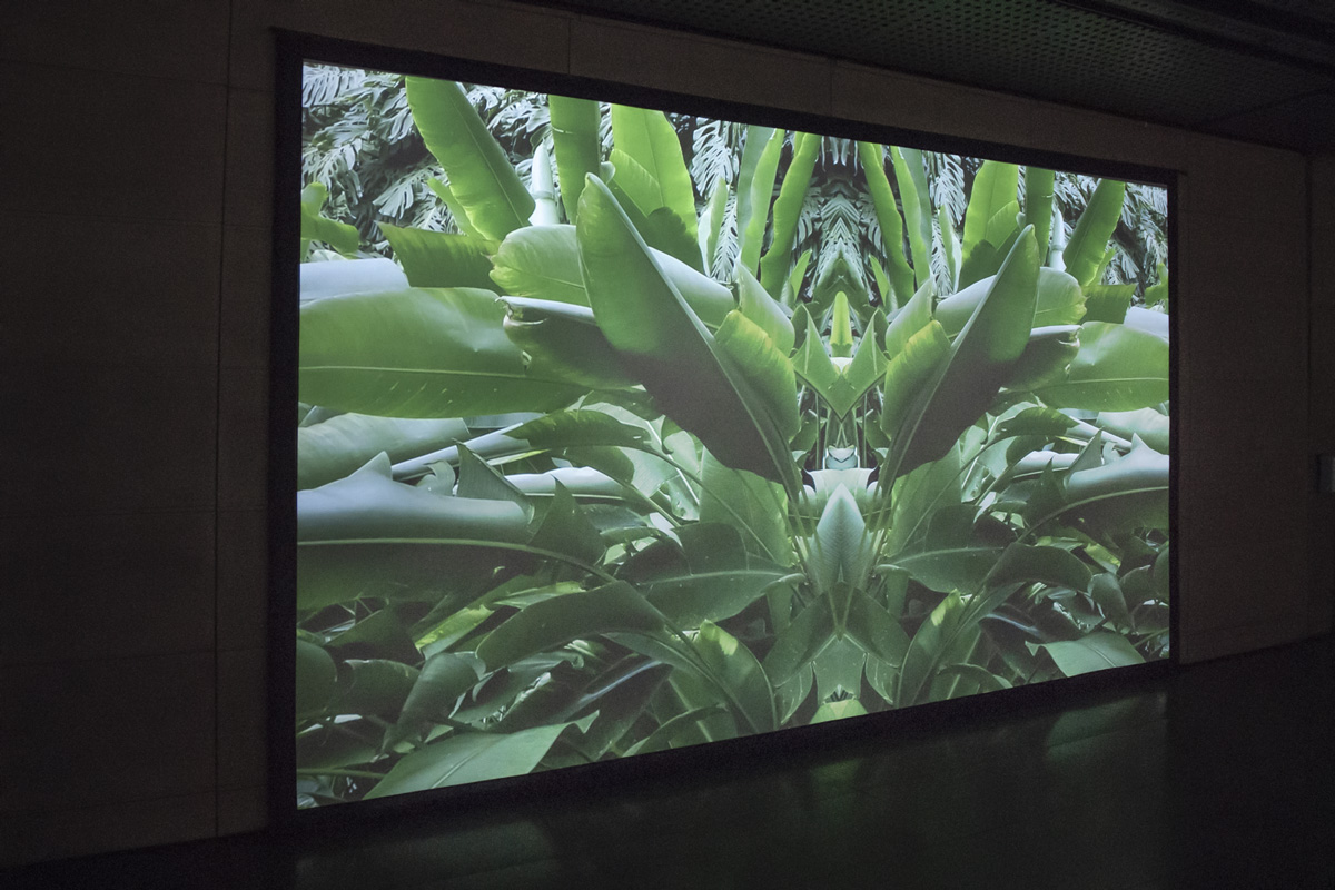 2022-abstrakttropik-video-06