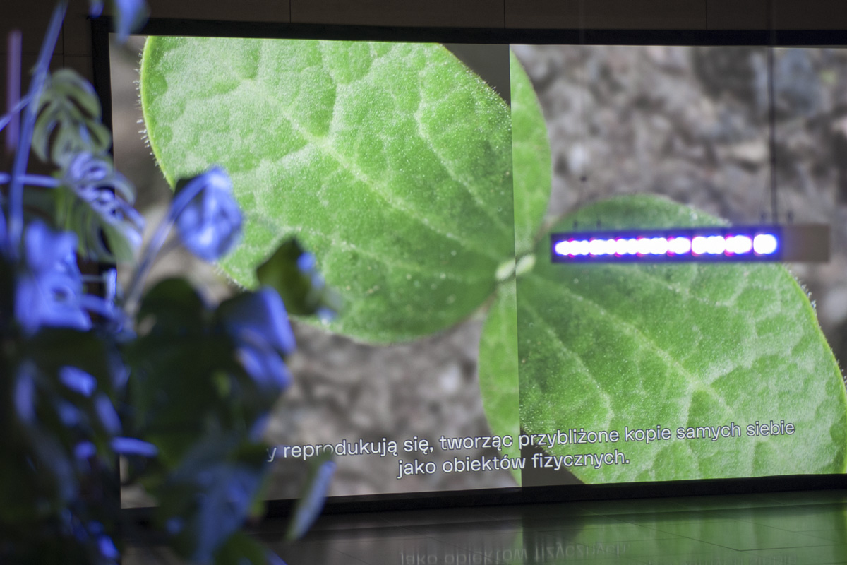 2022-abstrakttropik-video-15