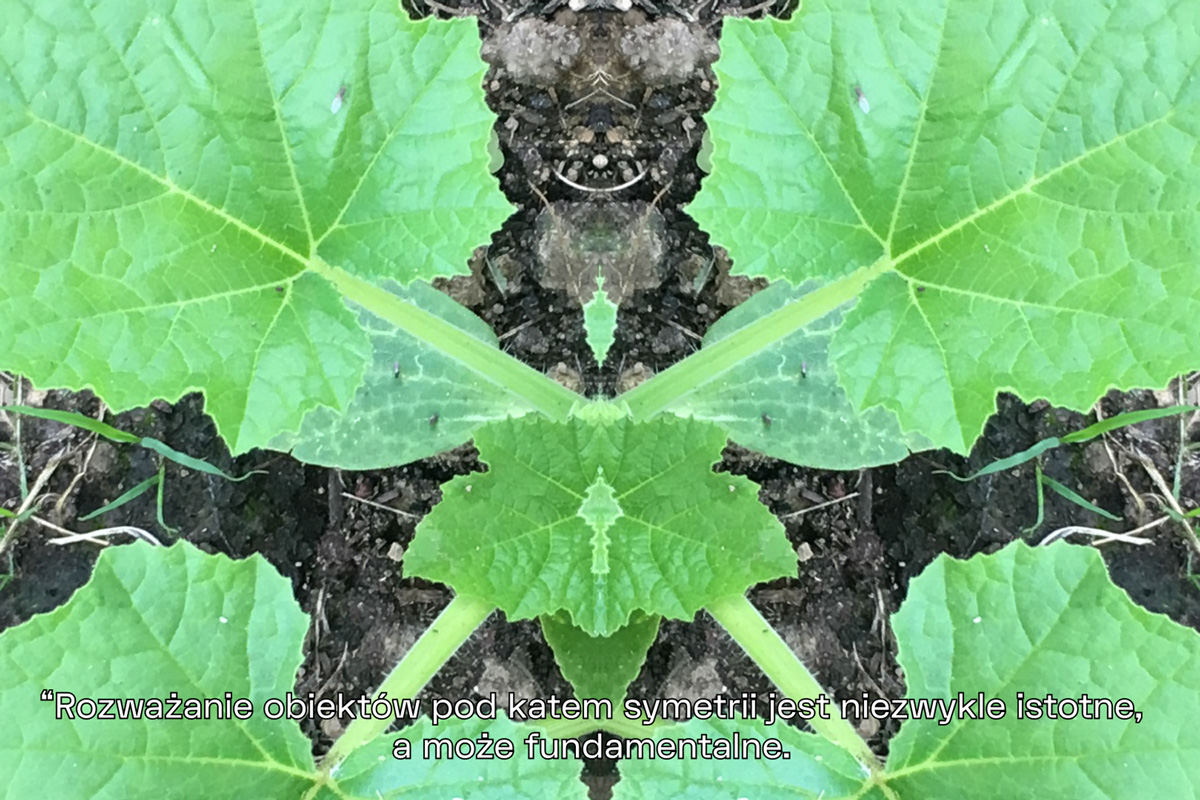 2022-abstrakttropik-video-22