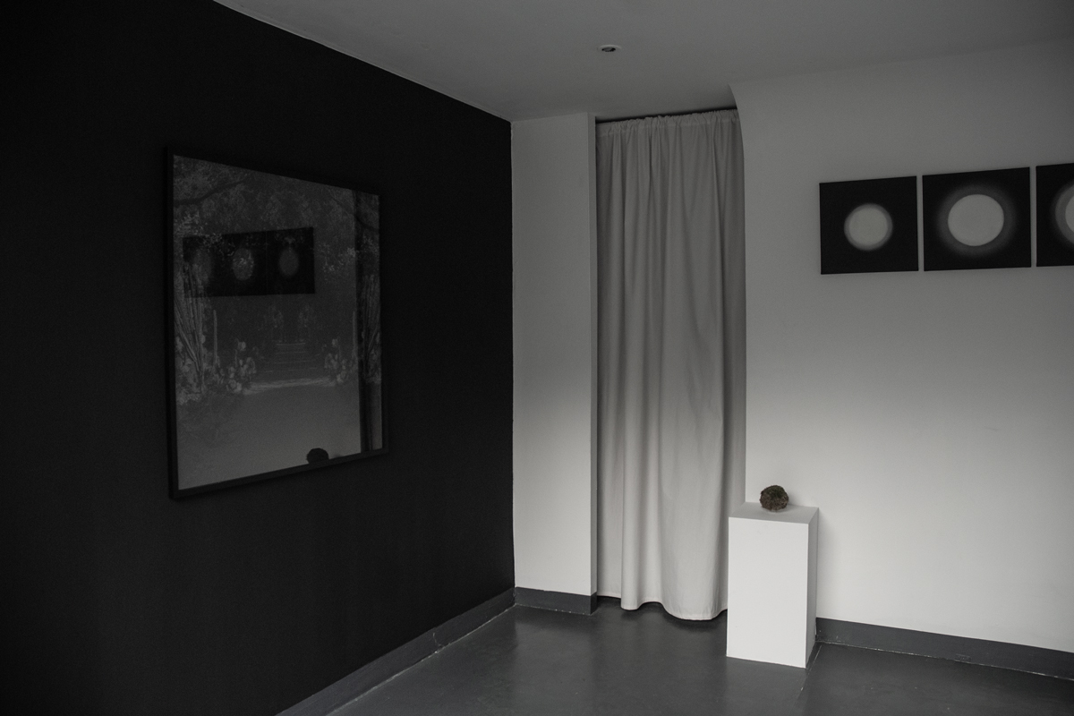 2024-solstice-kowalska-installation-01