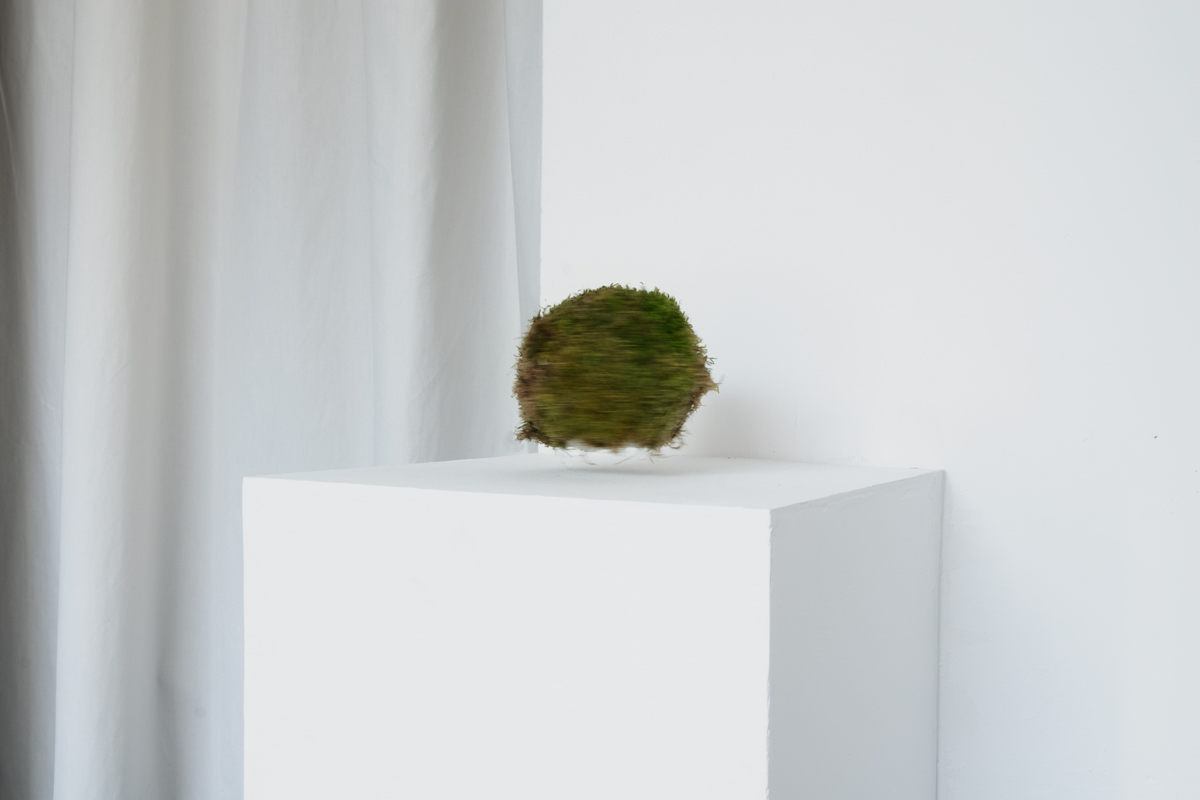 2024-solstice-kowalska-installation-05 2024-solstice-kowalska-installation-05