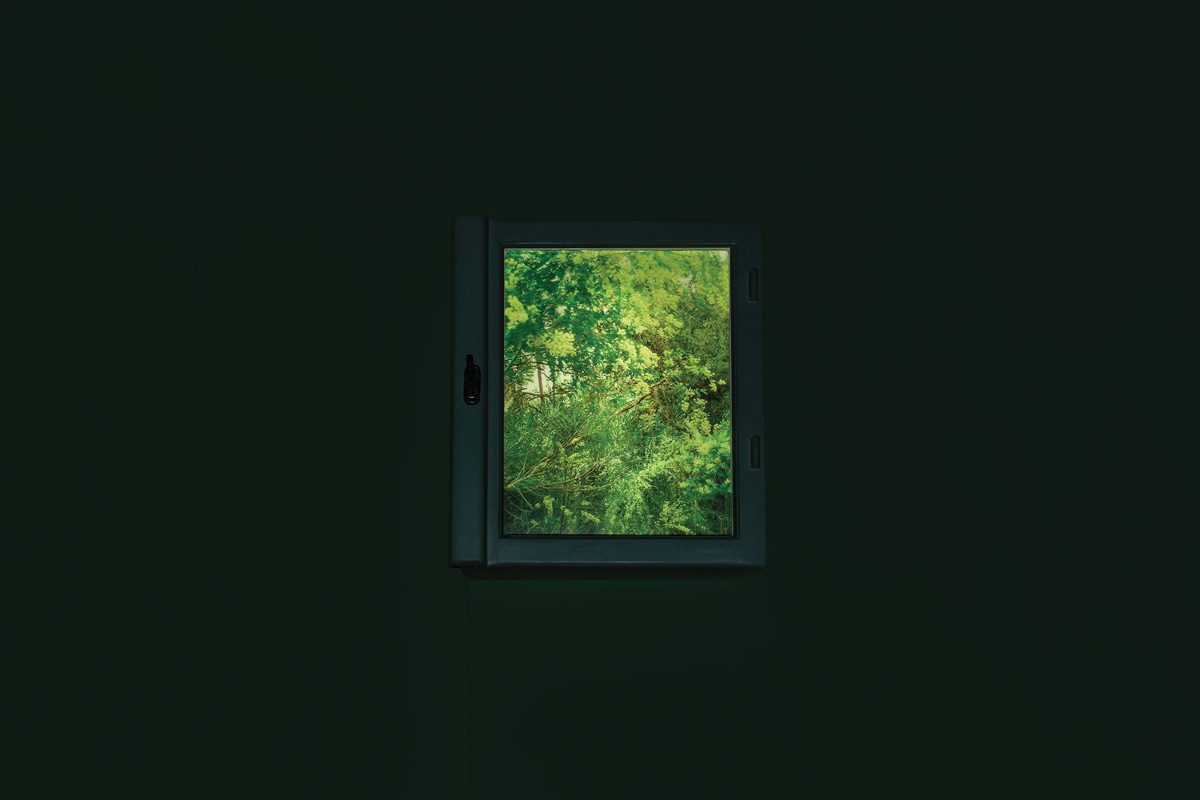 2004-windowsforwinter-kkowalska-photography-08