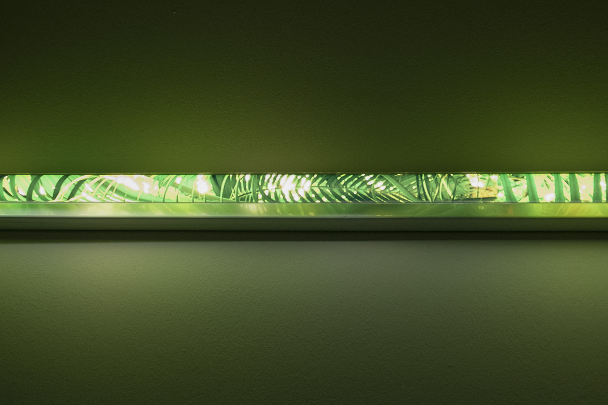 2017-lampshadeforneonbulbs-kkowalska-photography-installation-05