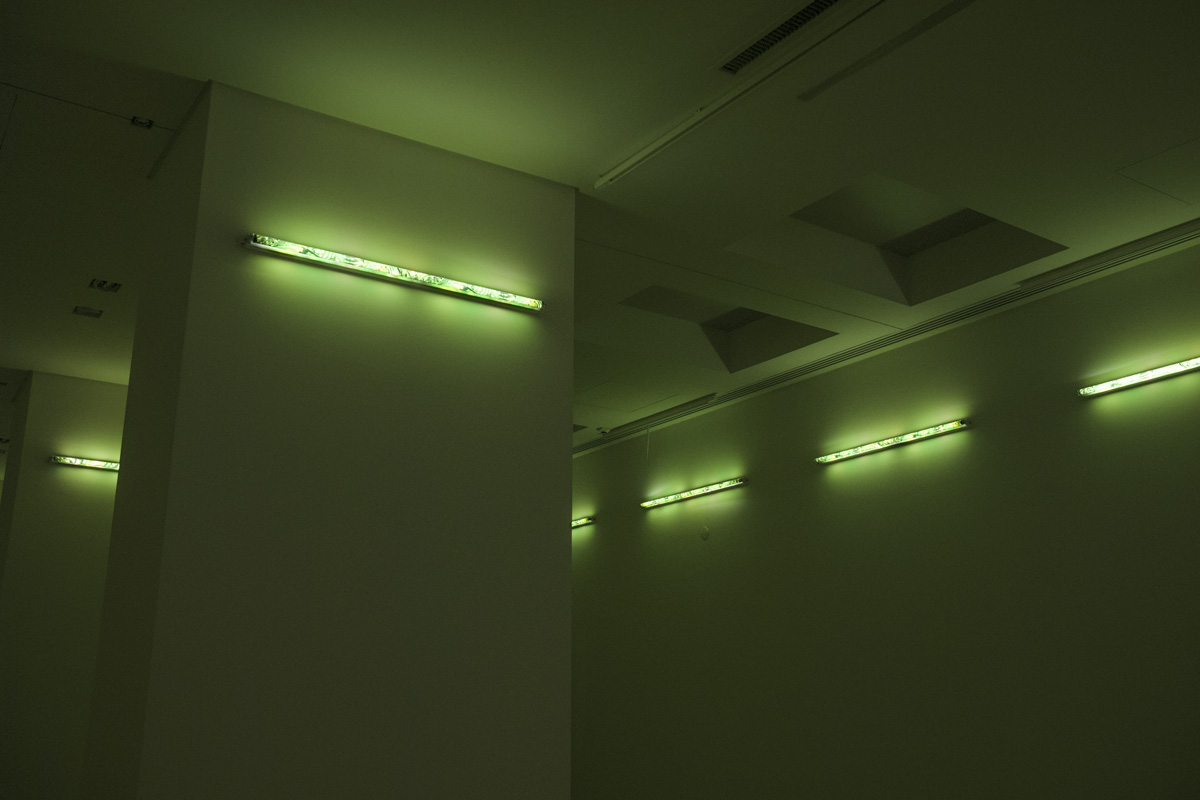 2017-lampshadeforneonbulbs-kkowalska-photography-installation-06