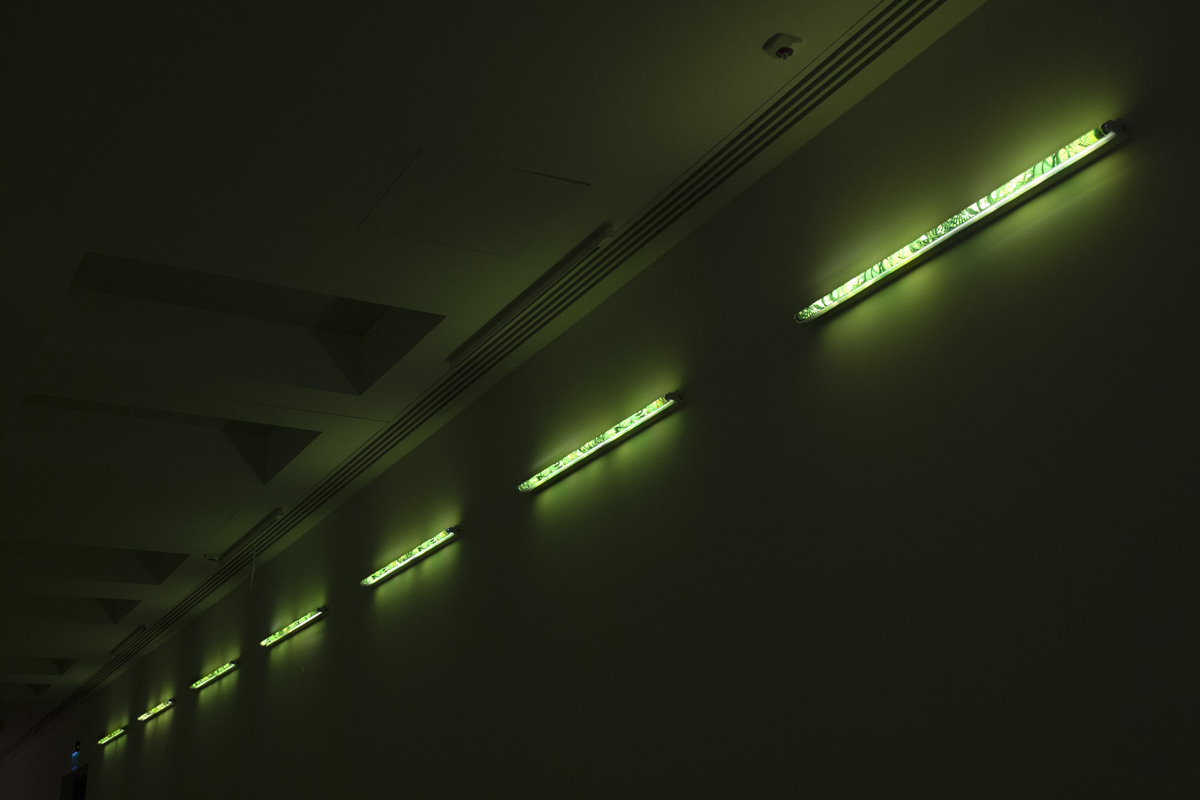 2017-lampshadeforneonbulbs-kkowalska-photography-installation-07 2017-lampshadeforneonbulbs-kkowalska-photography-installation-07
