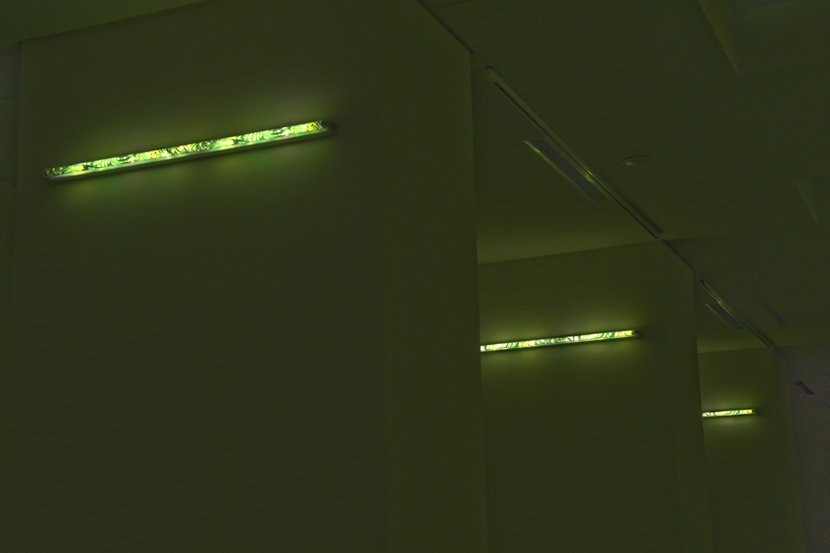 2017-lampshadeforneonbulbs-kkowalska-photography-installation-08