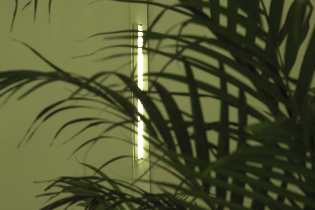 2018-budgettravel-kkowalska-photography-installation_06