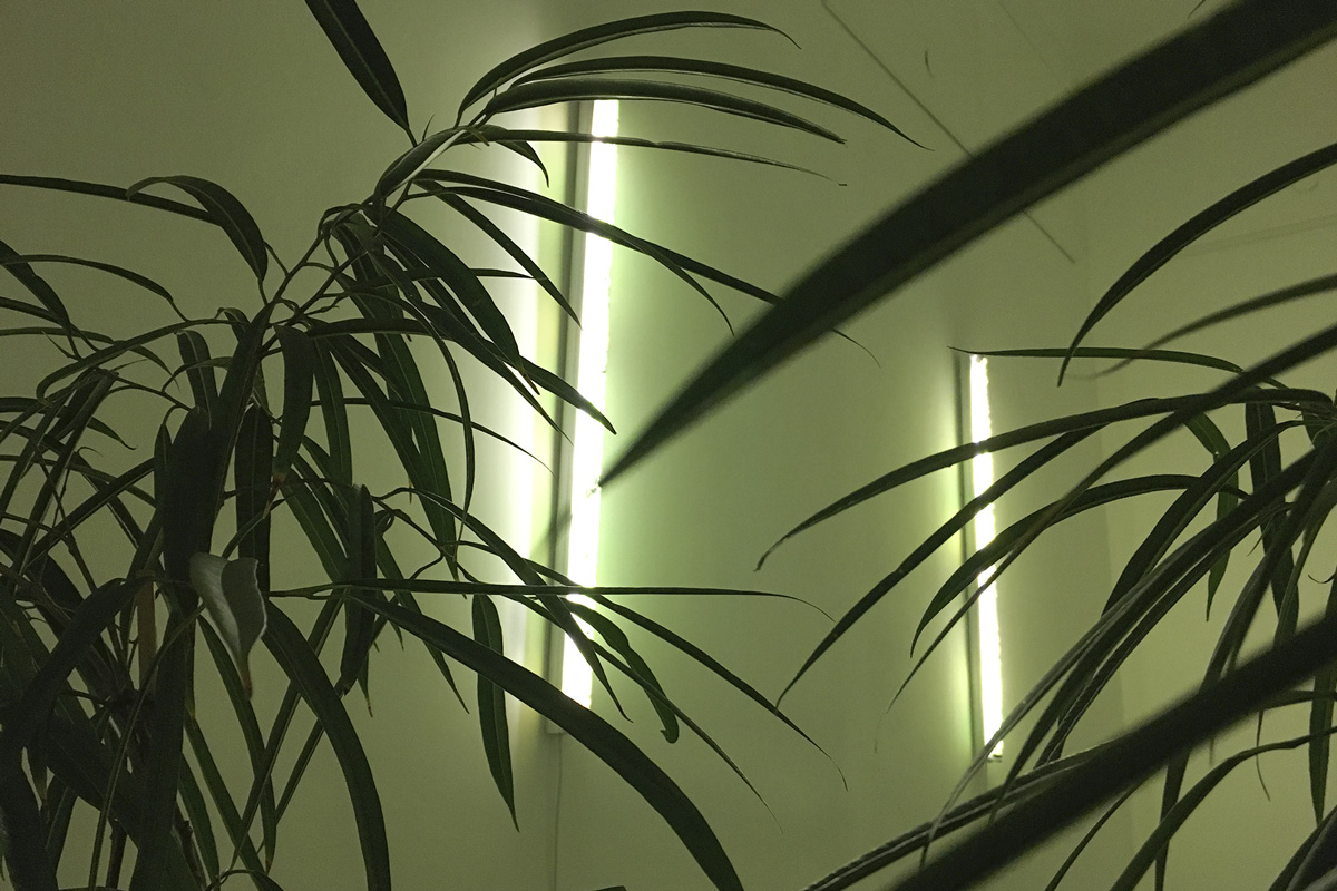 2018-budgettravel-kkowalska-photography-installation_12