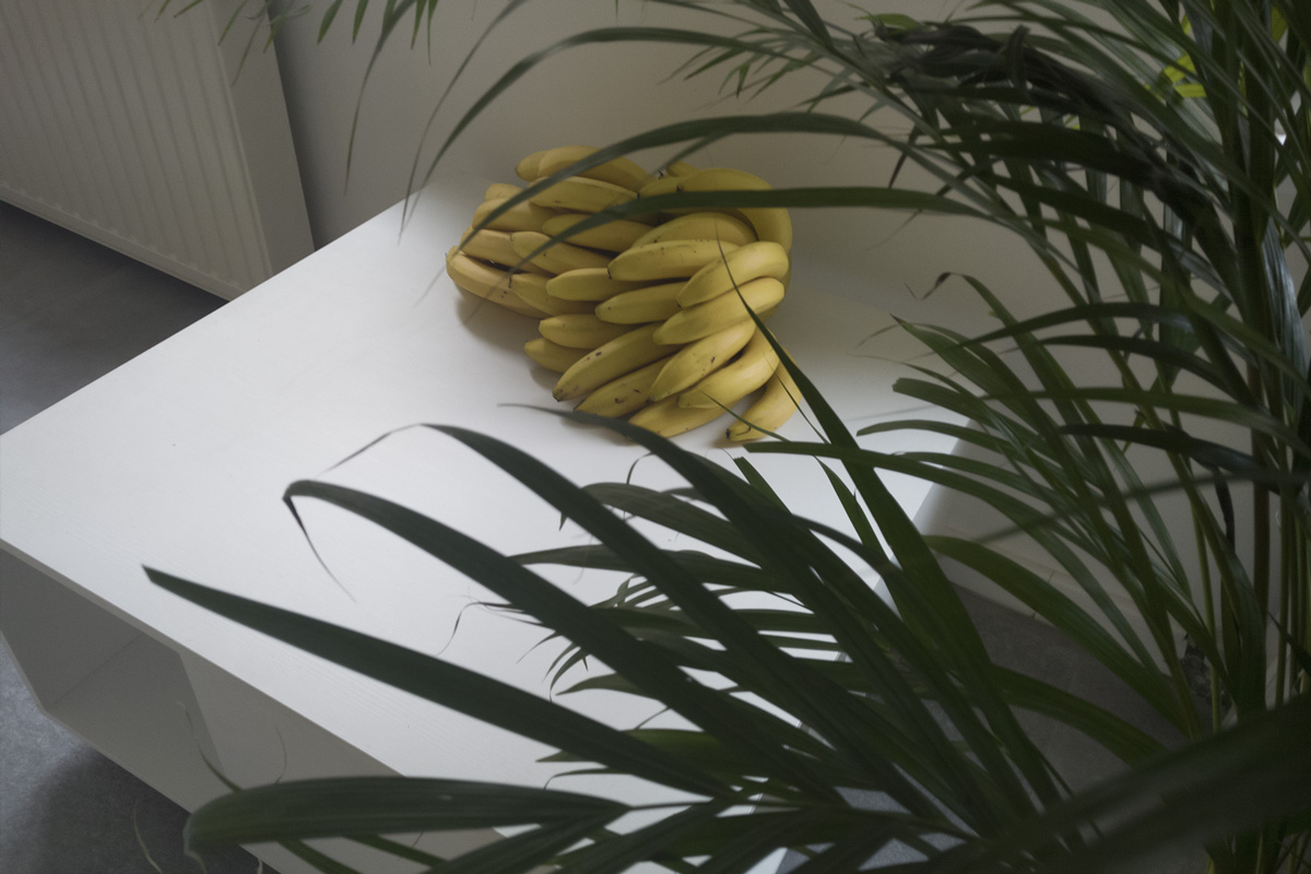 2018-budgettravel-kkowalska-photography-installation_13