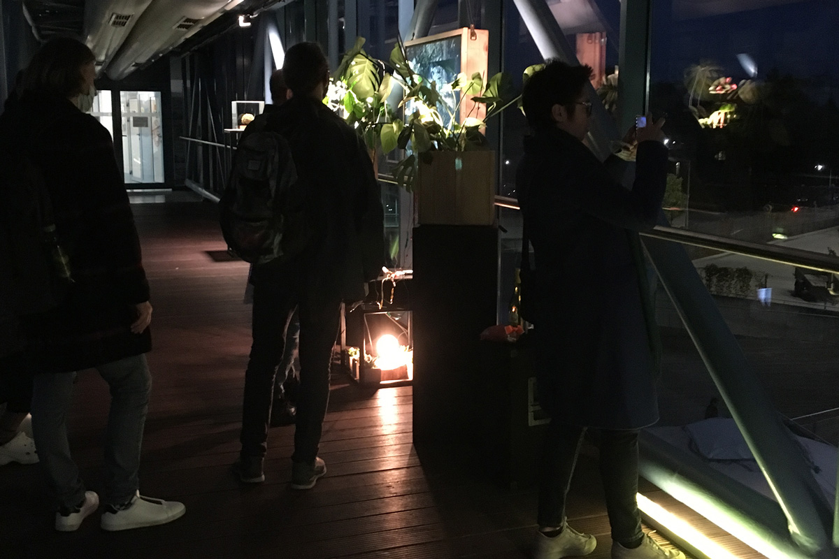 2021-transfer-kkowalska-photography-installation-18 2021-transfer-kkowalska-photography-installation-18