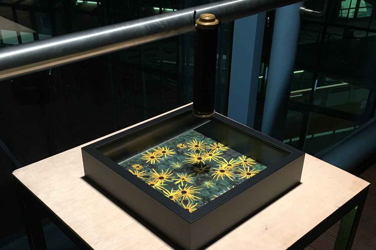2021-transfer-kkowalska-photography-installation-19