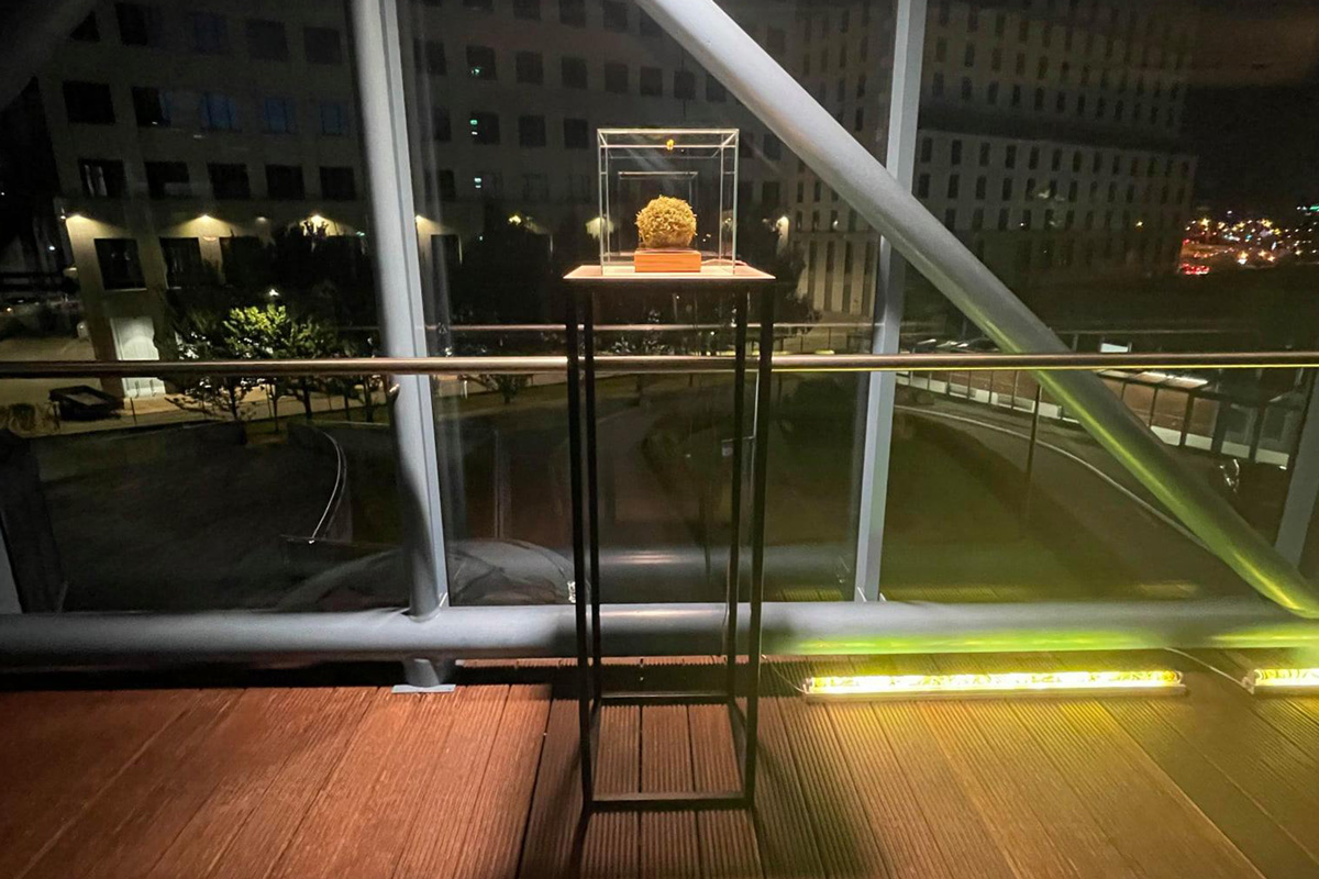 2021-transfer-kkowalska-photography-installation-21
