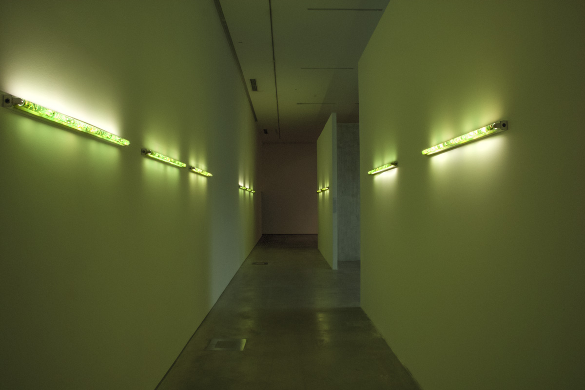 2022-lampshadeforneonbulbs-kkowalska-photography-installation-01