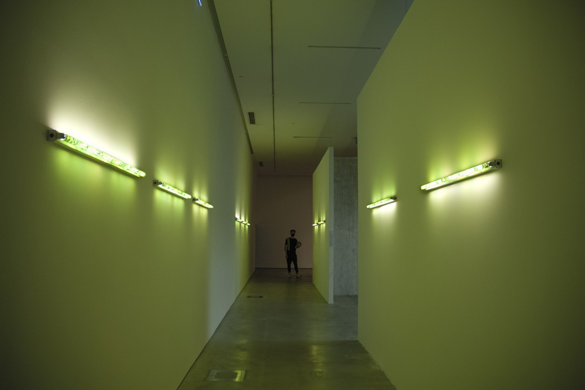2022-lampshadeforneonbulbs-kkowalska-photography-installation-04 2022-lampshadeforneonbulbs-kkowalska-photography-installation-04